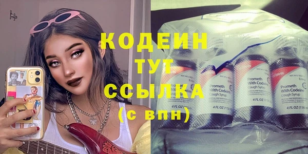 шишки Покров