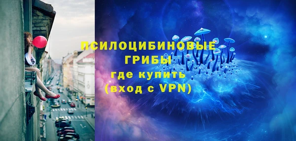шишки Покров