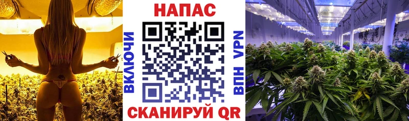 купить наркоту  Краснокаменск  ссылка на мегу ТОР  Бошки Шишки план 